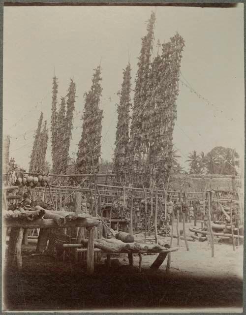 Display of large yams