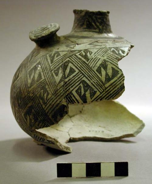 Reconstructed vessel and sherds