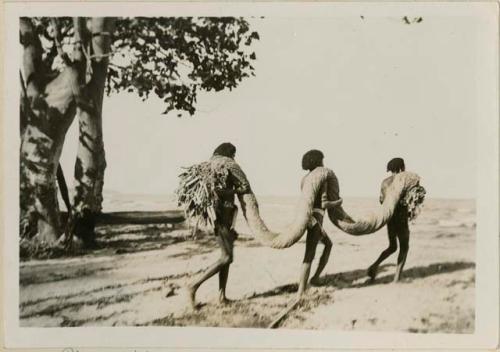 Men carrying new big net to go fishing