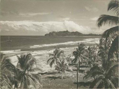 View of beach from hill