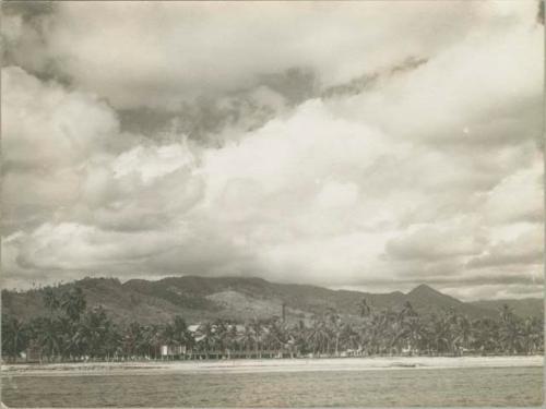 Landscape scene, building behind row of palm trees in distance