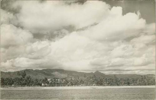 Landscape scene, building behind row of palm trees in distance