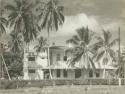 View of building surrounded by palm trees