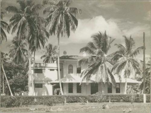 View of building surrounded by palm trees