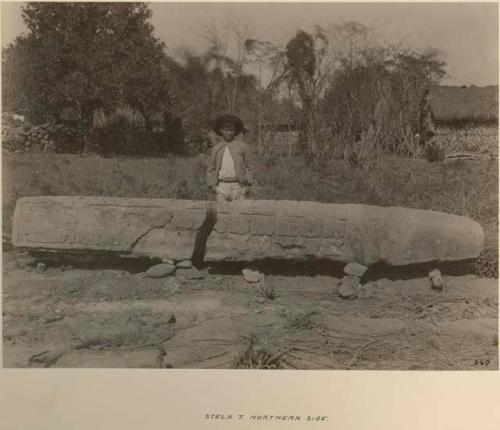 Man standing behind Stela 7, northern side