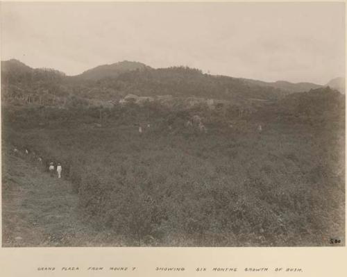 Grand Plaza from Mound 7 showing six months growth of bush