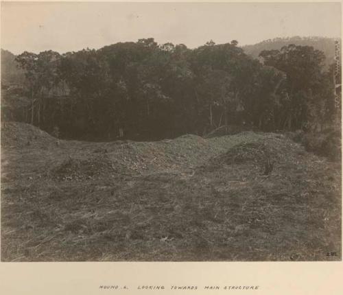 Mound 6, looking towards main structure