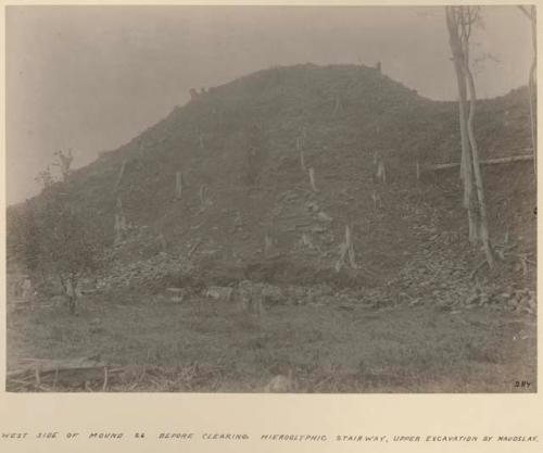 West side of Mound 26 before clearing hieroglyphic stairway