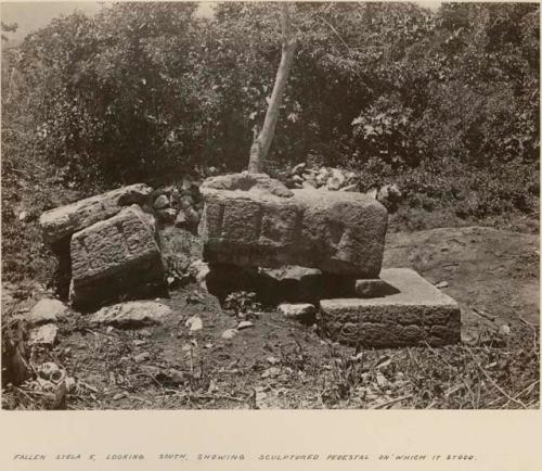 Stela 5, looking south, showing sculptured pedestal on which it stood