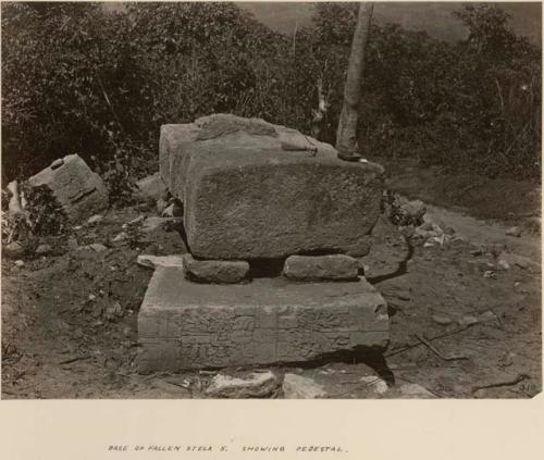 Base of fallen Stela 5, showing pedestal