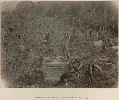 Sculpture in corn-field south of main structure