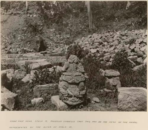 Stone face near Stela M