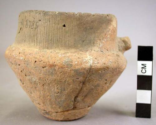 Cup-pottery