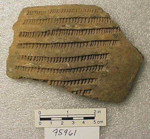 Ceramic rim sherd, incised and grooved design