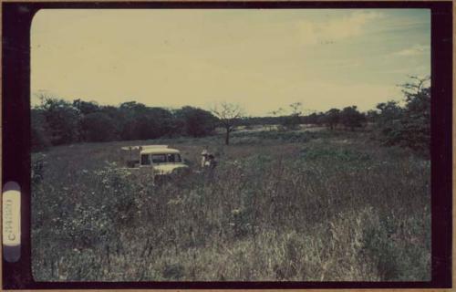 Hacienda Pelon cemetery