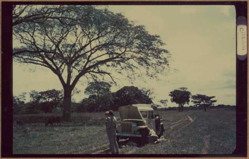 Truck on Pan American Highway near Nicaraguan border