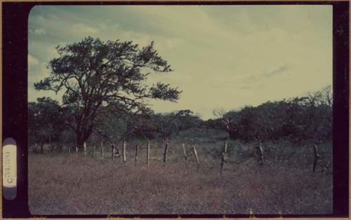 Fence along Pan American Highway near Nicaraguan border