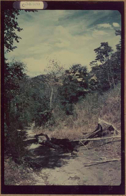 Pan American Highway near Nicaraguan border