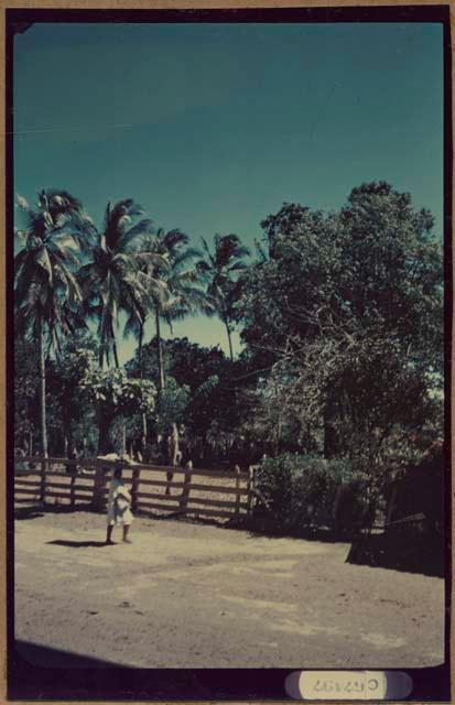 View from Samuel K. Lothrop's house