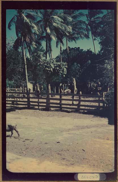 View from Samuel K. Lothrop's house