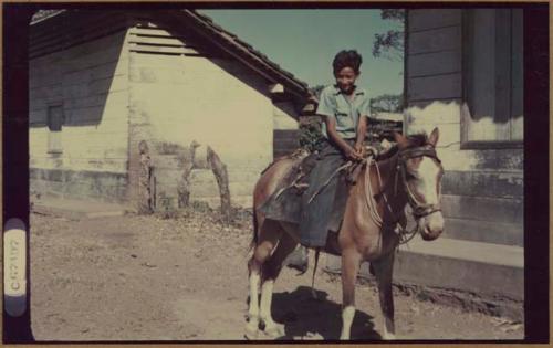 Boy on horse