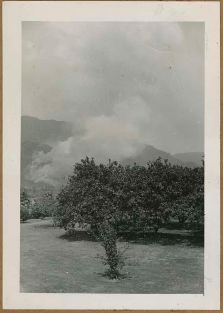 View of Sierra Borunqueña from Samuel K. Lothrop's house