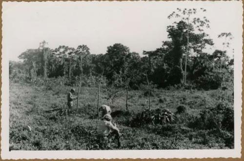 Manizales, Finca Bremen, start of excavation