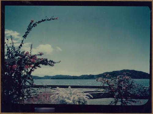 View of Golfito from guest house