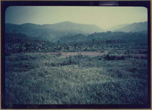 View of landscape at Palmar Sur