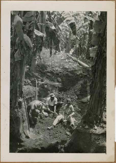 Eleanor Lothrop and two others in Pit C