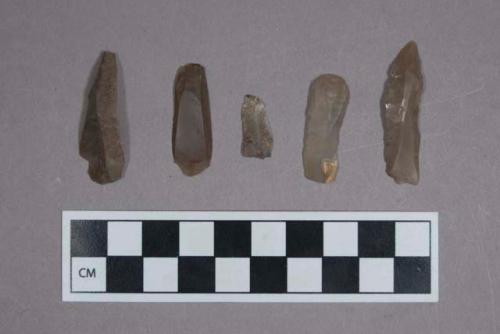 Microlithic flint blades