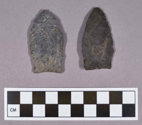 Chipped stone, projectile points, lanceolate