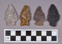 Chipped stone, projectile points, stemmed and side-notched, includes quartz, jasper, and ryholite