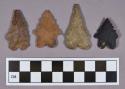 Chipped stone, bifurcate base projectile points, two with serrated blades
