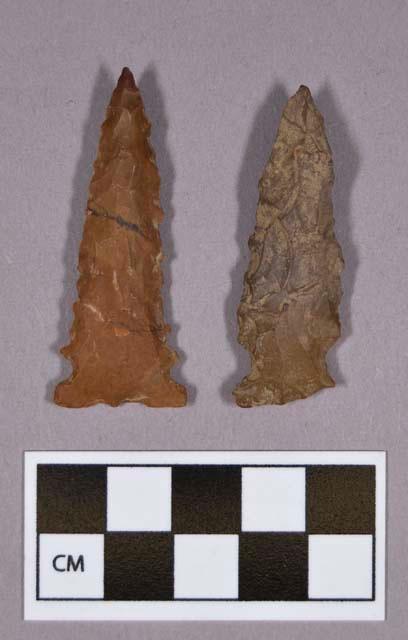 Chipped stone, projectile points, side-notched bases and serrated blades