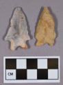 Chipped stone, projectile points, bifurcate base