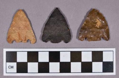 Chipped stone, projectile points, basal-notched