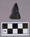 Chipped stone, projectile point, triangular; shallow notch on blade