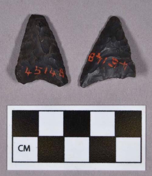 Chipped stone, projectile points, triangular