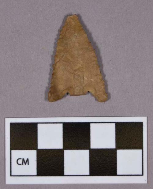 Chipped stone, projectile point, basal-notched, serrated blade