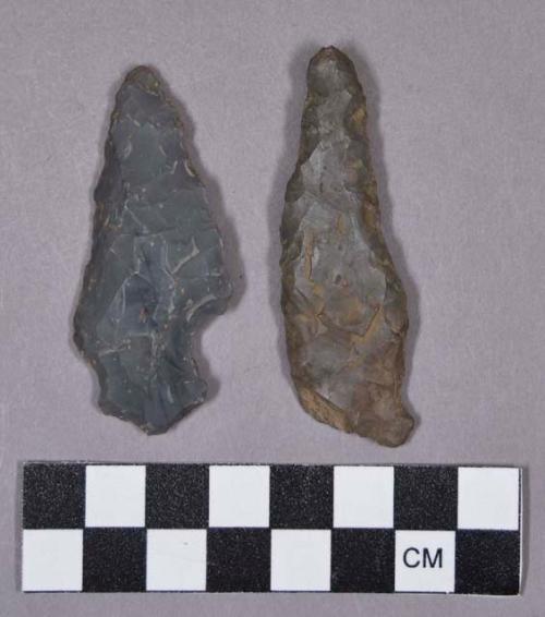 Chipped stone, projectile points, stemmed