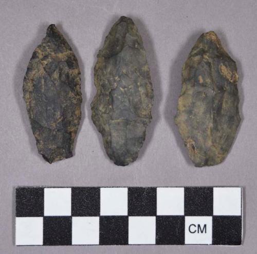 Chipped stone, projectile points, stemmed and lanceolate