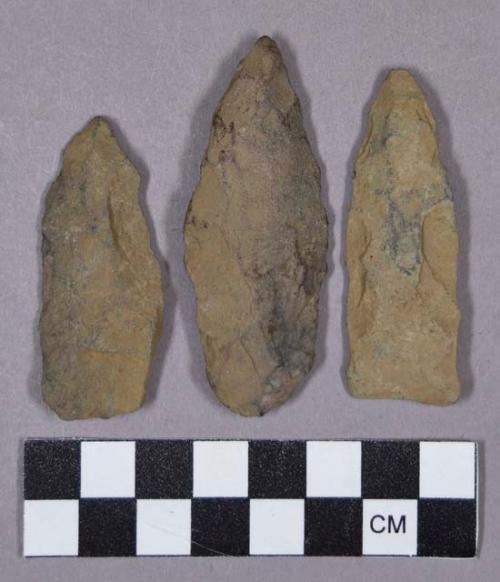 Chipped stone, projectile points, lanceolate and stemmed