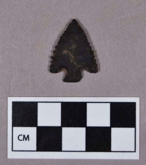 Chipped stone, projectile point, corner-notched, serrated blade