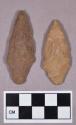 Chipped stone, projectile points, stemmed