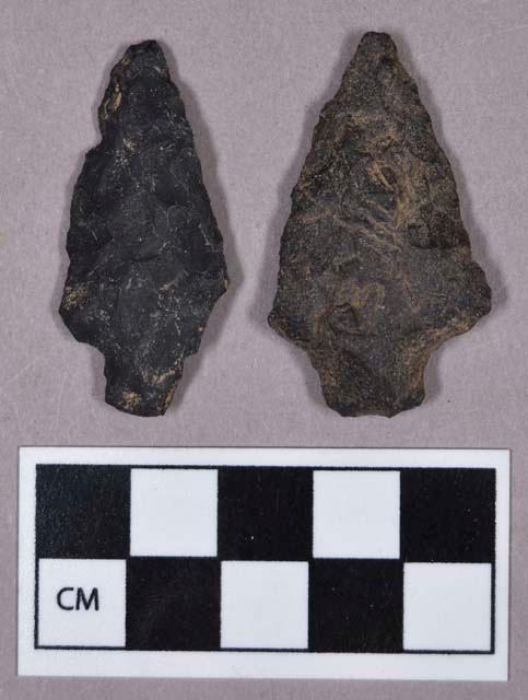 Chipped stone, projectile points, stemmed