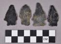 Chipped stone, projectile points, stemmed