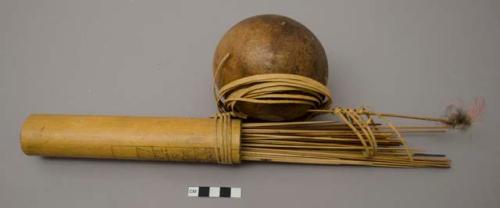 Quiver with curare-tipped darts, attached gourd containing silky plant fiber