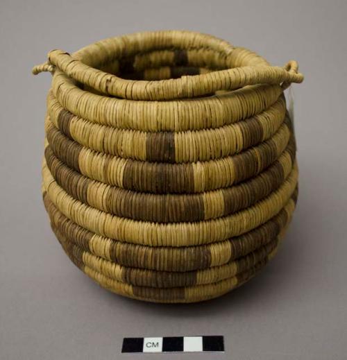 Bundle-coiled seed jar