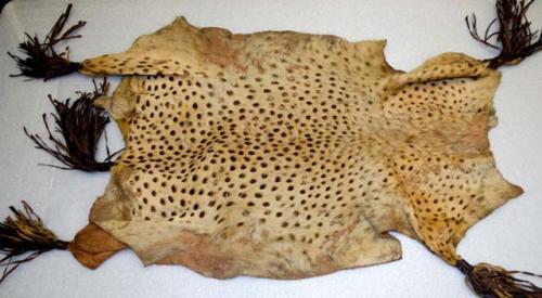 Cheetah pelt